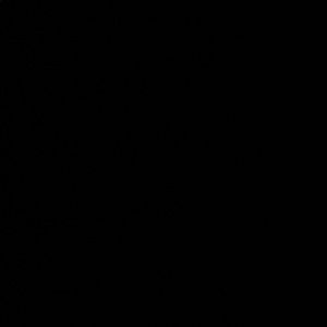 Meet your Posher, Mariah